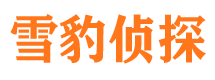 阜阳外遇出轨调查取证